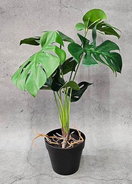 1 Pc Plant with Aesthetic Plastic Pot - Monstera Plant - Artificial Flower Indoor Decoration Plant for Home Decor (9 Leaves)
