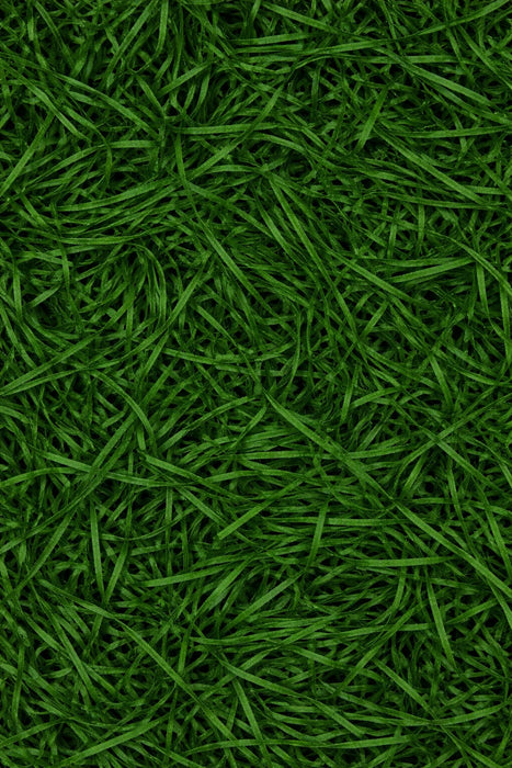 50 gm(Approx) Paper Grass for crafts project gift Packing crafts, Diwali Gidting, Decoration, Baby Shower Decoration