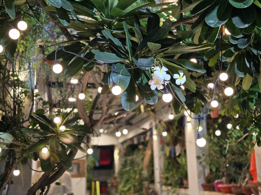 10 Bulb Series Light | 10 Ft Long Extendable String Light | 100% Copper | Made in India for Diwali & Weddings