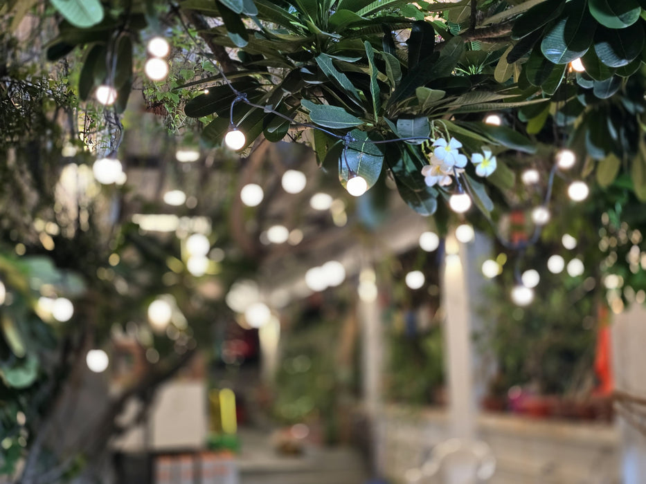 10 Bulb Series Light | 10 Ft Long Extendable String Light | 100% Copper | Made in India for Diwali & Weddings