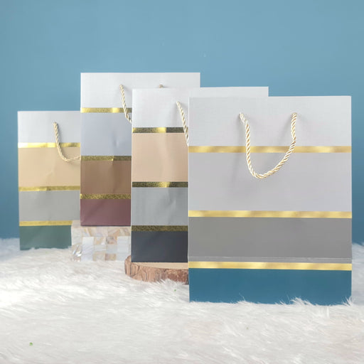 10 Pcs Paper Bag Goodie Bags With Handle Gift Paper bag, gift For Valentine Gifting, marriage Return Gifts, Birthday, Wedding, Party, Season's Greetings (Random Colour)
