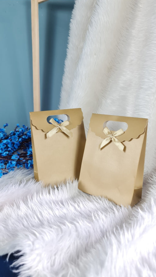 Velcro Paper bag Gift Paper bag, Carry Bags, gift bag for Gifting,marriage Return Gifts, Birthday, Wedding, Party, Festivals, Season's Greeting