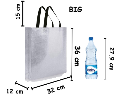 SATYAM KRAFT Big Size Non Woven Fabric Bag  With Handle 32 x 36 cm Gift Paper bag, Carry Bags, gift bag, gift for Birthday, gift for Festivals, Season's Greetings and other Events(Silver)