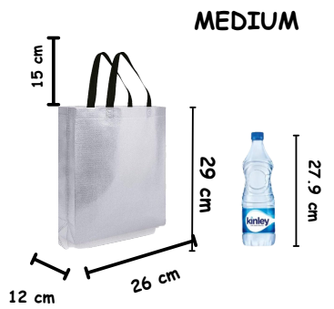 Medium Size Non Woven Fabric Bag With Handle 26 x 29 cm Gift Paper bag, Carry Bags, gift bag, gift for Birthday, gift for Festivals, Season's Greetings and other Events(Silver)