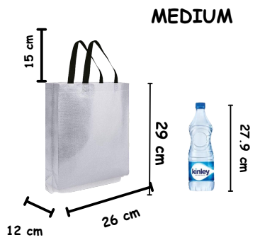 SATYAM KRAFT Medium Size Non Woven Fabric Bag With Handle 26 x 29 cm Gift Paper bag, Carry Bags, gift bag, gift for Birthday, gift for Festivals, Season's Greetings and other Events(Silver)