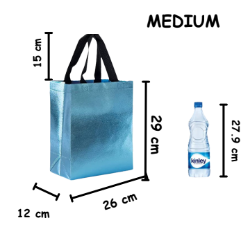 Medium size top bag dimensions