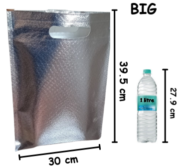 Big Size Non Woven Fabric Bag With Handle 39.5 x 30 cm Gift Non Woven Fabric Bag, Carry Bags, gift bag, gift for Birthday, gift for Festivals, Season's Greetings and other Events(Silver)