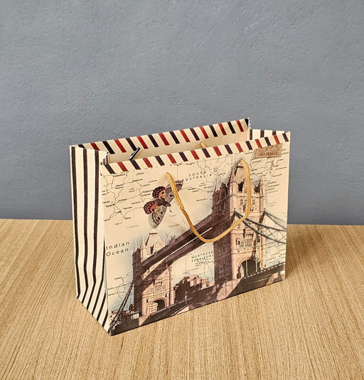 Medium Size Paper Bag With Handle 20 x 25 x 10 cm Gift Paper bag, Carry Bags, gift bag, gift for Birthday, gift for Festivals, Season's Greetings and other Events