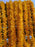 SATYAM KRAFT Artificial Mogra Hanging Long Flower line for toran(Backdrop),Home Decor, Diwali, Festival decoration (Yellow)