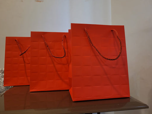 Medium Size Paper Bag With Handle 23 x 11 x 18 cm Gift Paper bag, Carry Bags, gift bag, gift for Birthday, gift for Festivals, Season's Greetings and other Events(Red)
