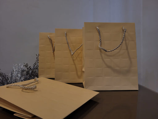 Medium Size Paper Bag With Handle 23 x 11 x 18 cm Gift Paper bag, Carry Bags, gift bag, gift for Birthday, gift for Festivals, Season's Greetings and other Events(Off-White)