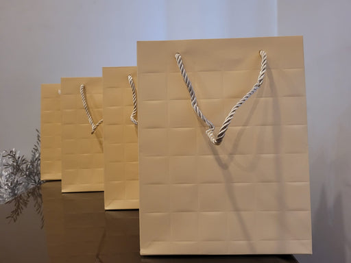 Big Size Paper Bag With Handle 33 x 25 x 12 cm Gift Paper bag, Carry Bags, gift bag, gift for Birthday, gift for Festivals, Season's Greetings and other Events(Off-White)