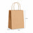Brown Kraft Paper Carry Bags with Handle | Eco-Friendly Gift Bags for Shopping, Hampers & Packaging | Available size  in Small, Medium & Large Sizes