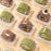 Mini Dome Shape Plastic Storage Box | Transparent Candy, Chocolate & Gift Packaging Container (White & Black Available)
