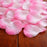 Artificial Rose Petals for Decoration Perfect for Her Him Valentine’s Day Romantic Decor for Wedding Anniversary New Year Candle Light Dinner Bedroom Table Party Decor.