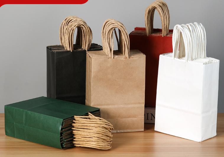 Premium Paper Gift Bag with Handle | Return Gift, Shopping & Packaging Bag | Available in Red, White, Black, Green & Brown