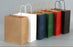 Premium Paper Gift Bag with Handle | Return Gift, Shopping & Packaging Bag | Available in Red, White, Black, Green & Brown