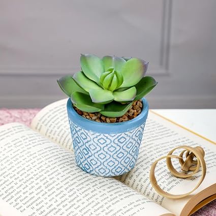 SATYAM KRAFT 1 PC Mini Artificial Green Indoor Succulent Plant with Aesthetic Ceramic Pot to Add Charm to Your Homedecor