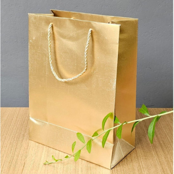 Brown Kraft Paper Bags - Gift Party Bags Without Handles | 6