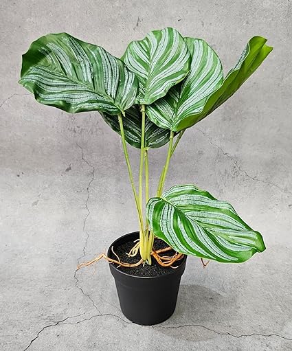 SATYAM KRAFT 1 Pc Plant with Aesthetic Plastic Pot - Monstera Plant - Artificial Flower Indoor Decoration Plant for Home Decor Item