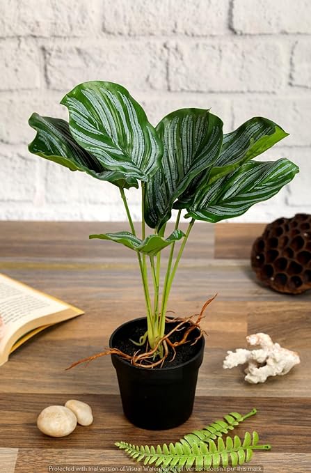 1 Pc Plant with Aesthetic Plastic Pot - Monstera Plant - Artificial Flower Indoor Decoration Plant for Home Decor Item