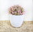 Artificial Bonsai Flower Tree with Pot for Home Decor, Room Decorations, Living Room Table Decoration Plants and Craft Items Corner