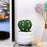 1 Pc Cactus Succulent indoor Plant with aesthetic cement Pot, Artificial flower Plant - Designer Ceramic pot for Gifting, Home decor