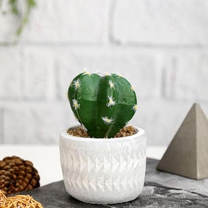 1 Pc Cactus Succulent indoor Plant with aesthetic cement Pot, Artificial flower Plant - Designer Ceramic pot for Gifting, Home decor