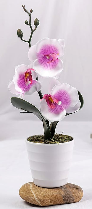 SATYAM KRAFT 1 Pcs Artificial Orchid Fake Flower with Plastic Pot Plant Decorative Items for Home, Balcony, Room, Living Room, Table Decor Plants and Craft
