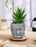 SATYAM KRAFT 1 PC Mini Artificial Green Succulent with Aesthetic Ceramic Pot, Indoor Faux Flower Plant to Add Charm to Your Home Decor, Perfect for Gifting, Elegant Shelf, and Office Desk(Pack of 1)
