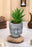 1 PC Mini Artificial Green Succulent with Aesthetic Ceramic Pot, Indoor Faux Flower Plant to Add Charm to Your Home Decor, Perfect for Gifting, Elegant Shelf, and Office Desk(Pack of 1)