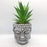 1 PC Mini Artificial Green Succulent with Aesthetic Ceramic Pot, Indoor Faux Flower Plant to Add Charm to Your Home Decor, Perfect for Gifting, Elegant Shelf, and Office Desk(Pack of 1)
