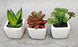 1 Pc Succulent Small Mini Plants with aesthetic ceramic cement pot, Faux flower indoor Plant with Pot Add Charm to Your Home decor