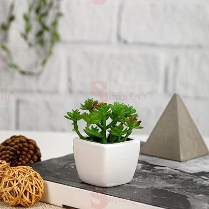 small indoor plant pot Succulent Small Mini Plants with aesthetic ceramic cement pot, Faux fl — Satyam Kraft