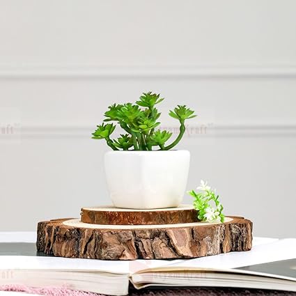 SATYAM KRAFT 1 Pc Succulent Small Mini Plants with aesthetic ceramic cement pot, Faux flower indoor Plant with Pot Add Charm to Your Home decor
