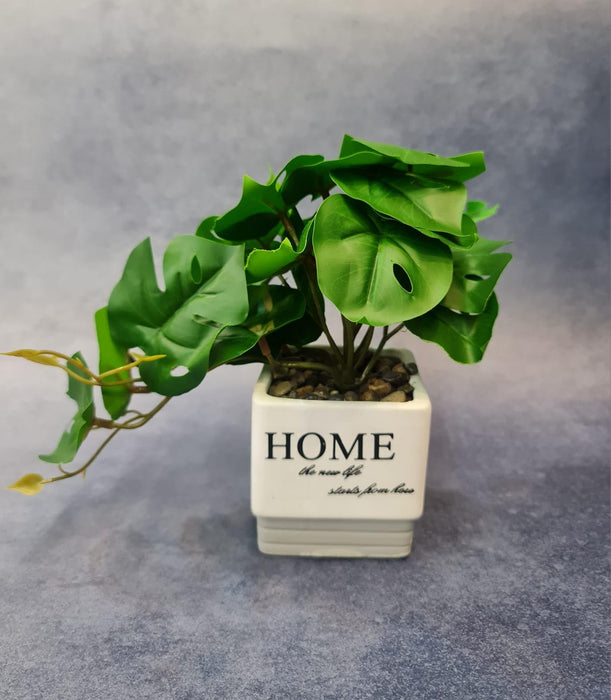 Satyam Kraft 1 Piece Artificial Ceramic Flower Plants - Exquisite Faux Pot Artificial Plant  (17.5 cm, Green)