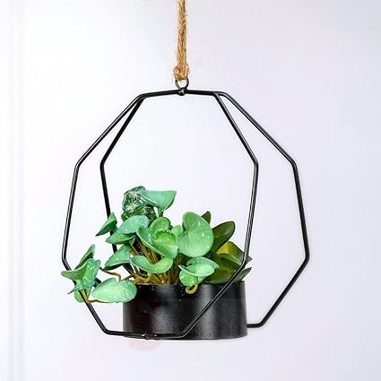 1 Pc Succulent Plant with Aesthetic Metal Holder - Small Artificial Flower Plant