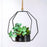 SATYAM KRAFT 1 Pc Succulent Plant with Aesthetic Metal Holder - Small Artificial Flower Plant