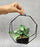 1 Pc Succulent Plant with Aesthetic Metal Holder - Small Artificial Flower Plant