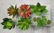 SATYAM KRAFT 6 Pcs Artificial Succulent Heads Small Mini Plants,Plant Add Charm to Your Home Decor