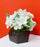 1 Pcs Artificial Hydrangea Flowers Bunch with Wooden Pot Display for Home Decor, Balcony, Welcoming Decoration,Realistic Look for Gifting, Office Desk, Living Room