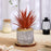 SATYAM KRAFT 1 PCS Mini Artificial Succulent with Ceramic Pot for Home Decor