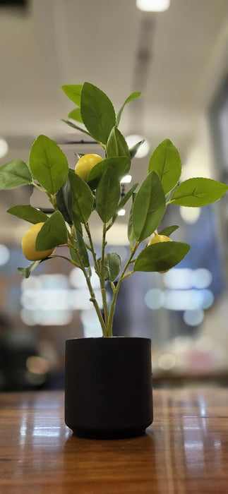 1 Pc Artificial Lemon Plant with Pot succulent, Artificial Flower Decoration Plant for Home Decor Item, Office, Bedroom, Living Room, Shop Decoration Items (Pack of 1, Green)