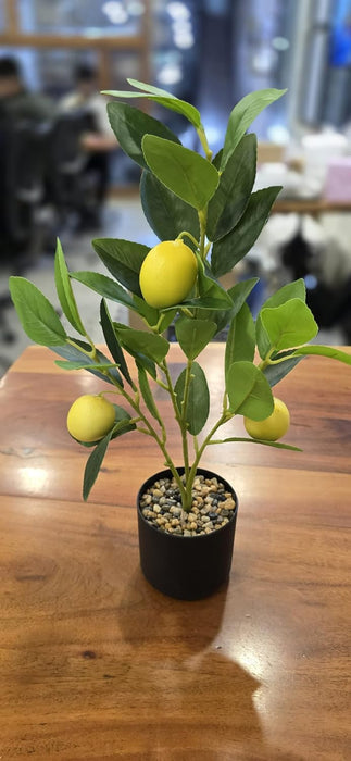 1 Pc Artificial Lemon Plant with Pot succulent, Artificial Flower Decoration Plant for Home Decor Item, Office, Bedroom, Living Room, Shop Decoration Items (Pack of 1, Green)