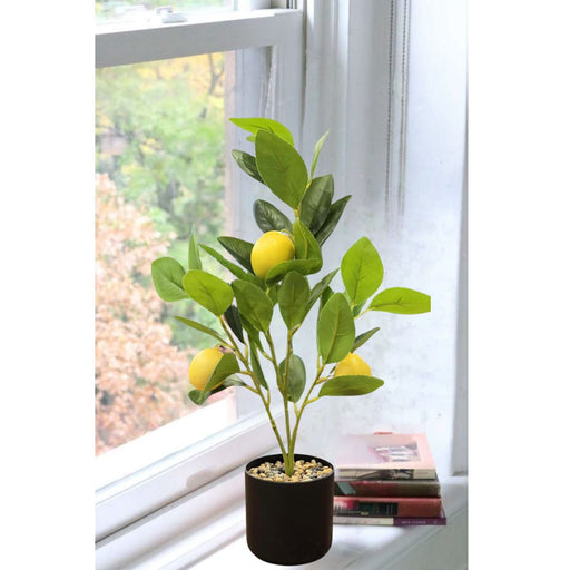 SATYAM KRAFT 1 Pc Artificial Lemon Plant with Pot succulent, Artificial Flower Decoration Plant for Home Decor Item, Office, Bedroom, Living Room, Shop Decoration Items (Pack of 1, Green)