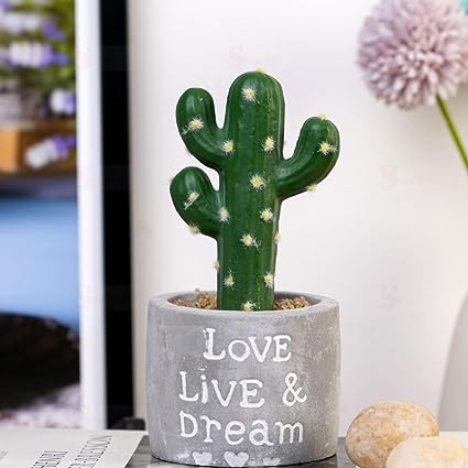 SATYAM KRAFT 1 Pc Cactus Succulent Indoor Plant with Aesthetic Cement Pot, Artificial Flower Plant - Designer Ceramic Pot for Gifting (Pack of 1) (Small) (Grey and Green Color)