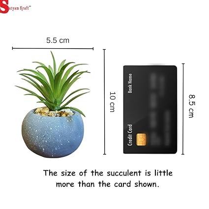 1 Pc Mini Aesthetic Succulent Flower Plant with Ceramic Cement Pot for Indoor,Home,Living Room