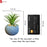 1 Pc Mini Aesthetic Succulent Flower Plant with Ceramic Cement Pot for Indoor,Home,Living Room