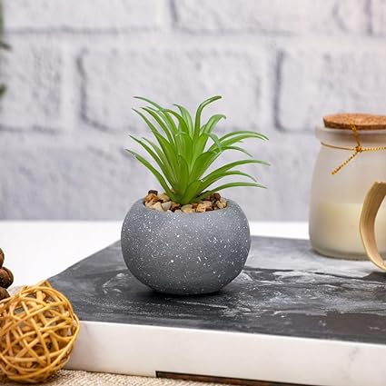 SATYAM KRAFT 1 Pc Mini Aesthetic Succulent Flower Plant with Ceramic Cement Pot for Indoor,Home,Living Room