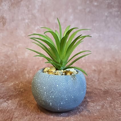 1 Pc Mini Aesthetic Succulent Flower Plant with Ceramic Cement Pot for Indoor,Home,Living Room